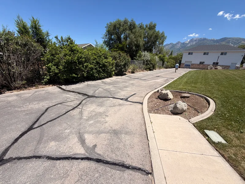 Long private road with mountain view